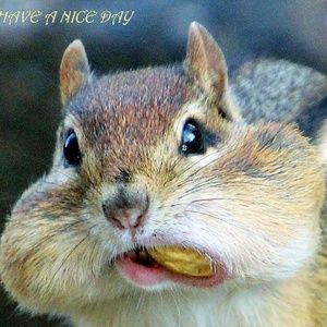 Meet your Posher, Leanne